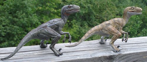 500x213xPapo-Raptor-sides2-x2.jpg.pagespeed.ic.makPxSdlr3.jpg