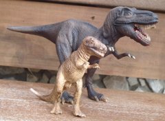 T-Rex, Dinosaur Toys