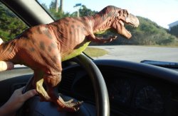 Tyrannosaurus Rex Dinosaur Toys