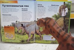 Tyrannosaurus Rex Dinosaur Toys