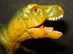 T Rex Dinosaur Toys