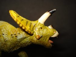 Torosaurus, Dinosaur Toys