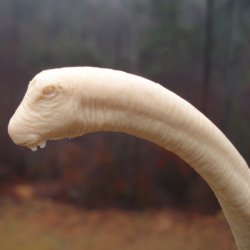 Long Neck Dinosaur Toys
