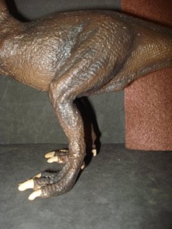 T-Rex, Dinosaur Toys