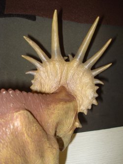 Styracosaurus Dinosaur Toys