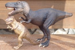 T-Rex, Dinosaur Toys