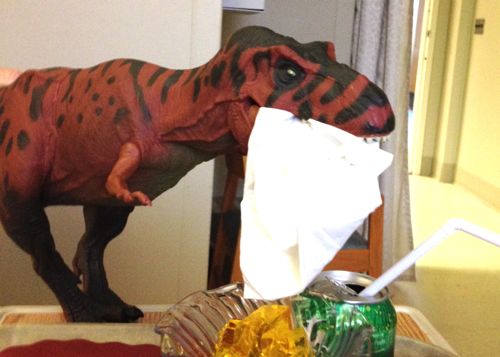 Rexford, Rexford Dinosaur, Napkin, Dinosaur Toys