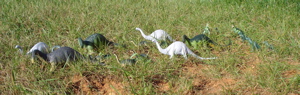 Apatosaurus, Dinosaur Toys
