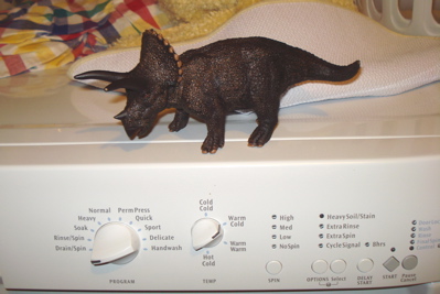 Dinosaur Toys