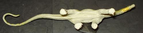 Amargasaurus, carnegie collection, Dinosaur Toys