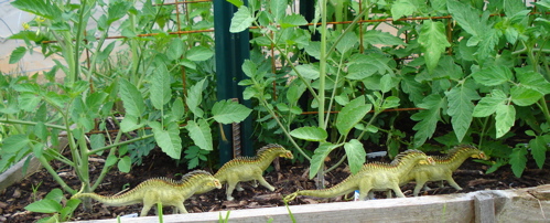 Amargasaurus, carnegie collection, Dinosaur Toys