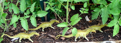 Amargasaurus, carnegie collection, Dinosaur Toys