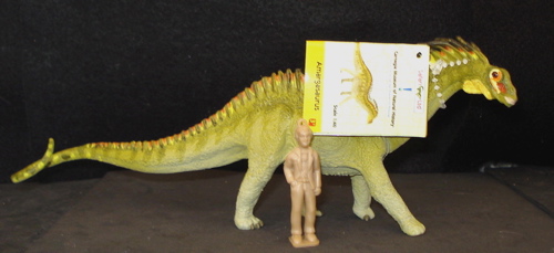 Amargasaurus, Dinosaur Toys, carnegie collection