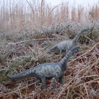 Sauropod Dinosaur Toys