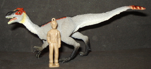 Dilong Dinosaur toys Dilong Dinosaur toys