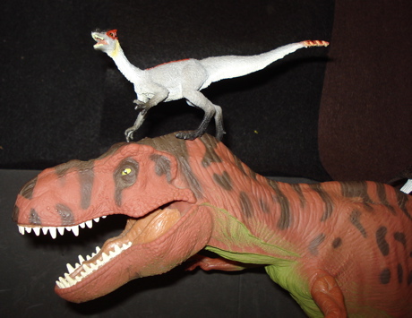 Dilong Dinosaur Toys