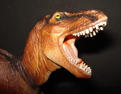 Dinosaur t rex Toys