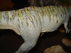 Carnegie Giganotosaurus, Dinosaur Toys