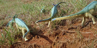 Carnegie Diplodocus Dinosaur Toys