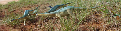 Carnegie Diplodocus Dinosaur Toys