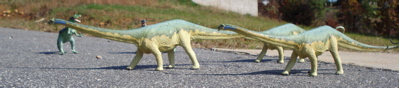 Carnegie Diplodocus Dinosaur Toys