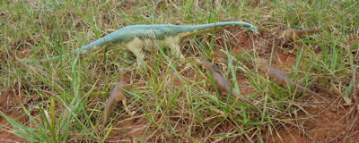 Carnegie Diplodocus Dinosaur Toys