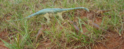 Carnegie Diplodocus Dinosaur Toys