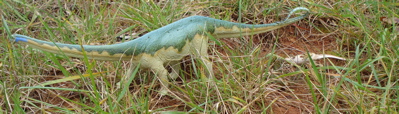 Carnegie Diplodocus Dinosaur Toys