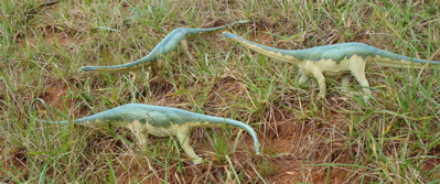 Carnegie Diplodocus Dinosaur Toys