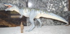 Giganotosaurus Dinosaur Toys