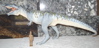Carnegie Giganotosaurus, Dinosaur Toys