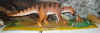 Carnegie Maiasaura Dinosaur Toys
