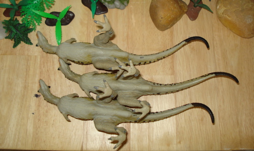 Carnotaurus, Carnegie carnotaurus, Carnotaur, Carnegie, Dinosaur Toys