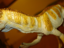 Cryolophosaurus, Carnegie Cryolophosaurus, Dinosaur Toys