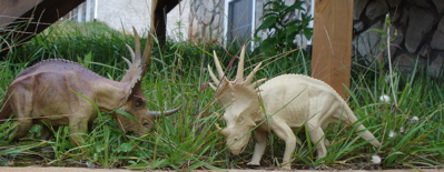 Dinosaur Toys Styracosaurus Pair