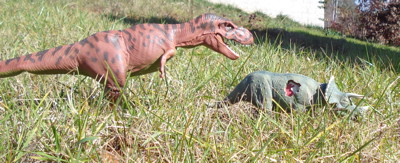 triceratops Dinosaur Toys