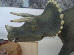 Triceratops Dinosaur Toys