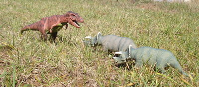 Triceratops Dinosaur Toys