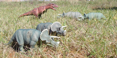 Triceratops Dinosaur Toys