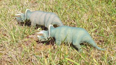 Triceratops Dinosaur Toys