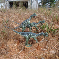 Dinosaur Toys