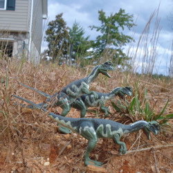 Dinosaur Toys