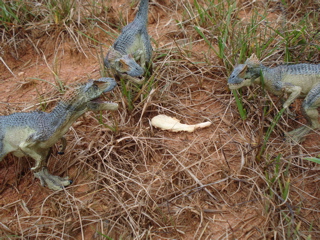 Papo Allosaurs Dinosaur toys