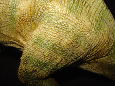 Parasaurolophus Dinosaur Toys