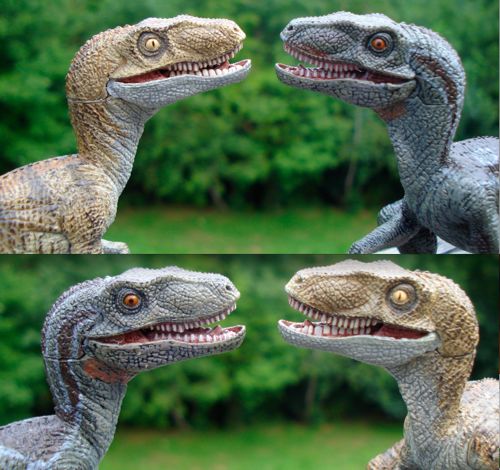 Dinosaur Toys, Papo, Velociraptor, Raptor