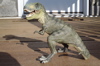 Tyrannosaurus Rex Dinosaur Toys