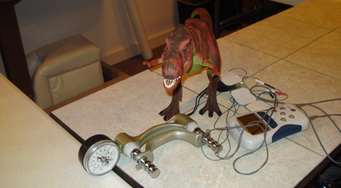 Dinosaur Toys, Rexford, PT blog