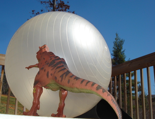 Rexford, Asteroid Dinosaur Toys