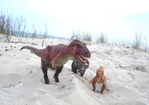 Tyrannosaurus Rexford, Rexford Dinosaur Toys