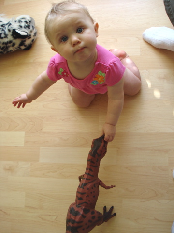 Dinosaur baby, Dinosaur Toys